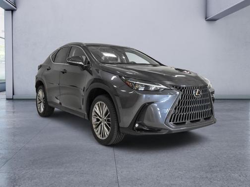 Cloudburst Gray 2022 Lexus NX 350h Luxury