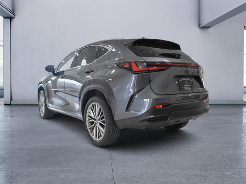 Cloudburst Gray 2022 Lexus NX 350h Luxury