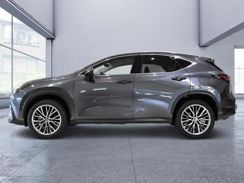 Cloudburst Gray 2022 Lexus NX 350h Luxury