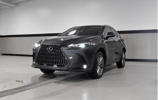 Gray 2022 Lexus NX 350h Luxury