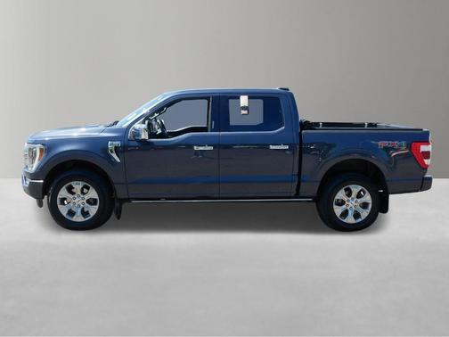 Smoked Quartz Metallic Tinted Clearcoat 2021 Ford F-150 Platinum