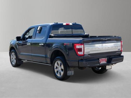 Smoked Quartz Metallic Tinted Clearcoat 2021 Ford F-150 Platinum