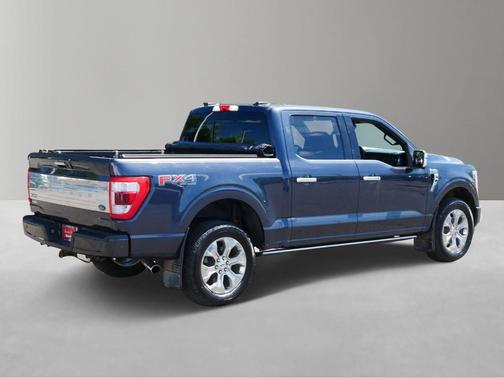 Smoked Quartz Metallic Tinted Clearcoat 2021 Ford F-150 Platinum