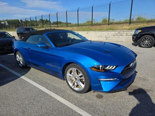 Blue Metallic 2020 Ford Mustang EcoBoost Premium