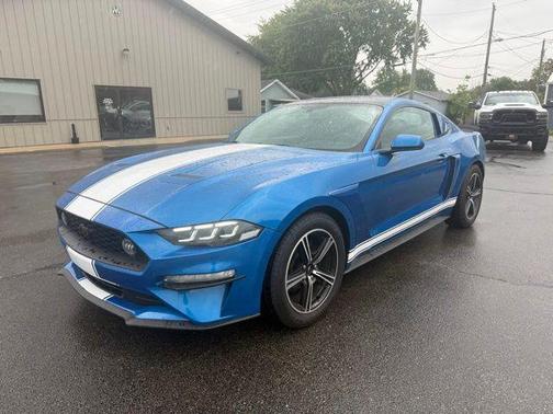 Blue Metallic 2019 Ford Mustang EcoBoost