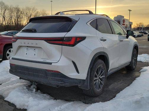 2024 Lexus NX 350h Luxury