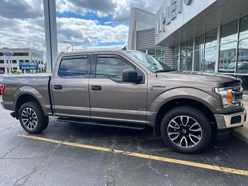 Stone Gray 2019 Ford F-150 XLT