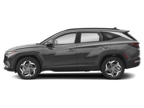 Amazon Gray 2024 Hyundai TUCSON Hybrid Limited