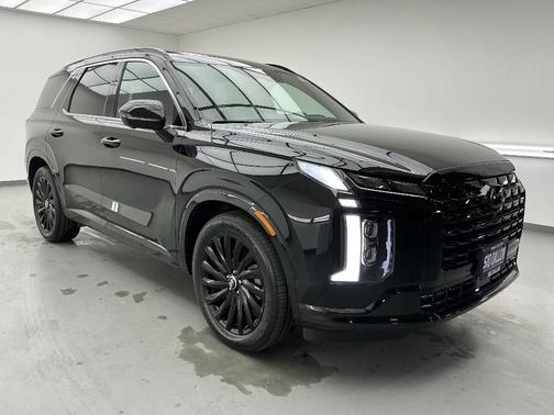 Abyss Black Pearl 2025 Hyundai PALISADE Calligraphy Night Edition