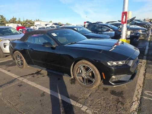 2024 Ford Mustang EcoBoost