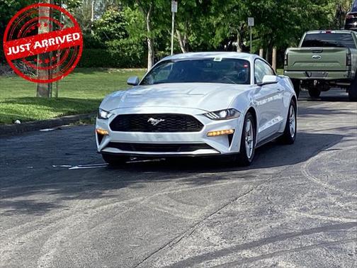 2019 Ford Mustang EcoBoost