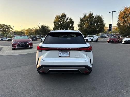 2025 Lexus RX 350 Luxury