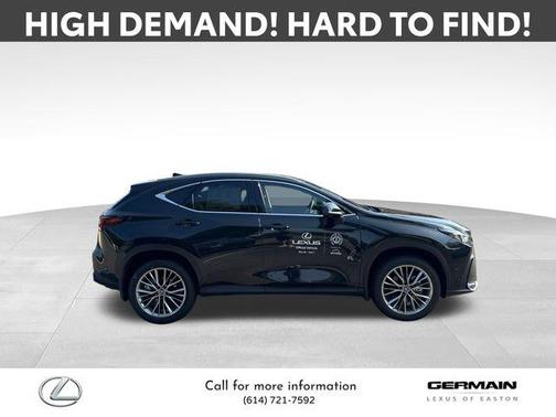 2025 Lexus NX 350h Luxury
