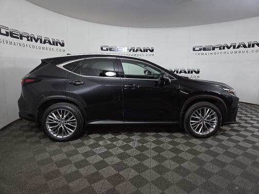 2025 Lexus NX 350 Luxury