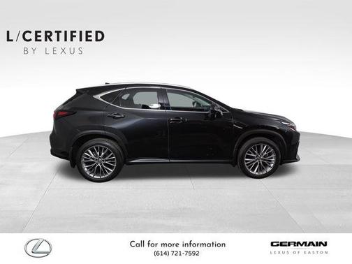2025 Lexus NX 350 Luxury