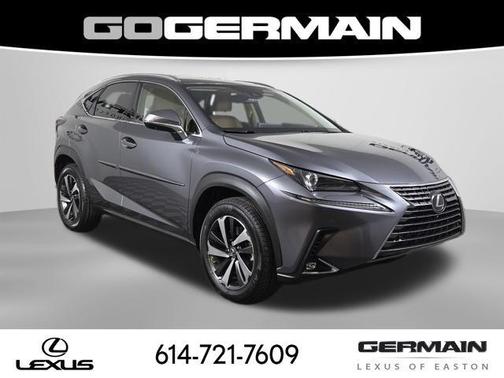 Nebula Gray Pearl 2021 Lexus NX 300 Base