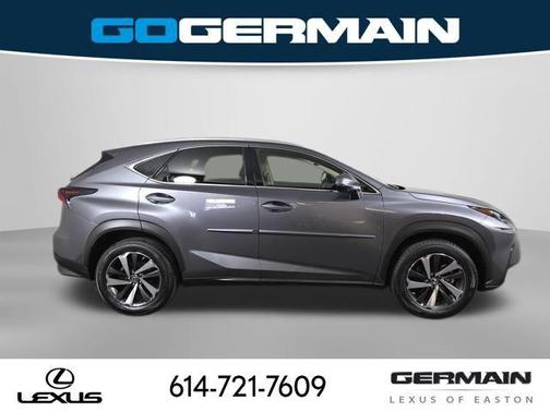 Nebula Gray Pearl 2021 Lexus NX 300 Base