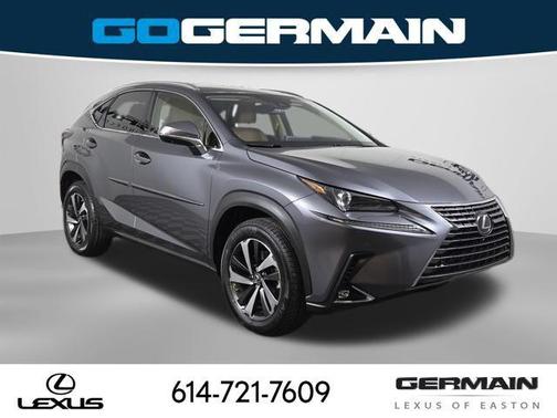 Nebula Gray Pearl 2021 Lexus NX 300 Base