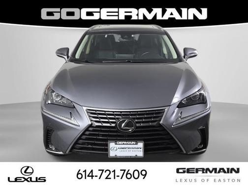 Nebula Gray Pearl 2019 Lexus NX 300 Base