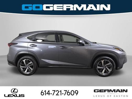 Nebula Gray Pearl 2019 Lexus NX 300 Base