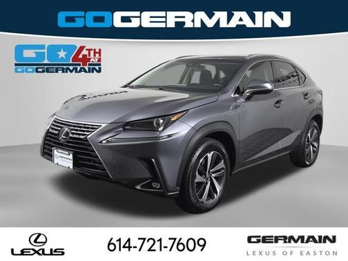 Nebula Gray Pearl 2019 Lexus NX 300 Base