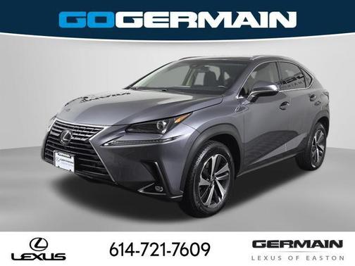Nebula Gray Pearl 2019 Lexus NX 300 Base
