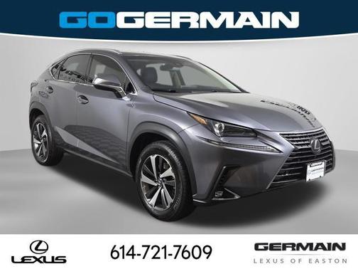 Nebula Gray Pearl 2019 Lexus NX 300 Base