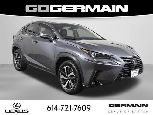 Nebula Gray Pearl 2019 Lexus NX 300 Base