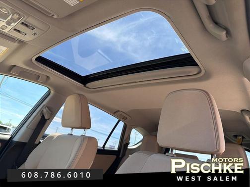 Pyrite Mica 2014 Toyota RAV4 XLE