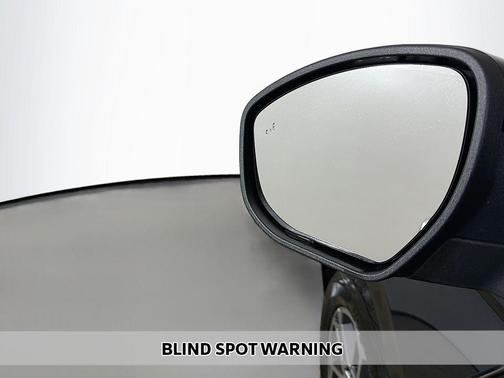 Blue Metallic 2025 Ford Expedition Active