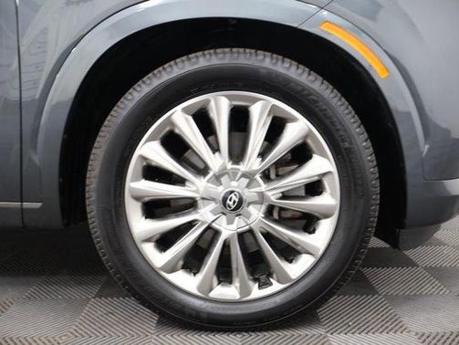 Rainforest 2020 Hyundai PALISADE Limited