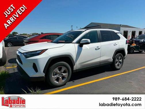 Ice 2025 Toyota RAV4 XLE