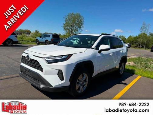 Ice 2025 Toyota RAV4 XLE