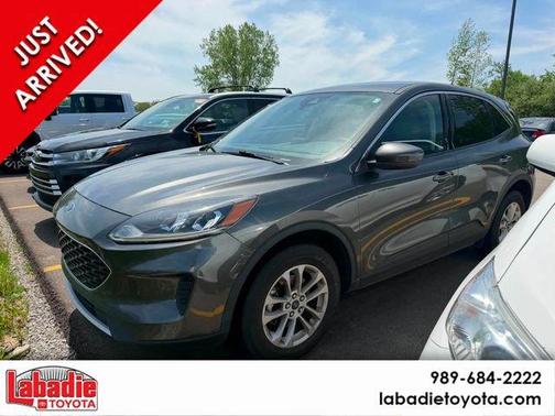Magnetic 2020 Ford Escape SE