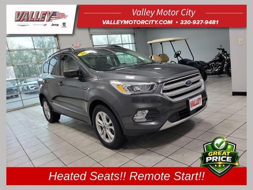Magnetic 2019 Ford Escape SEL
