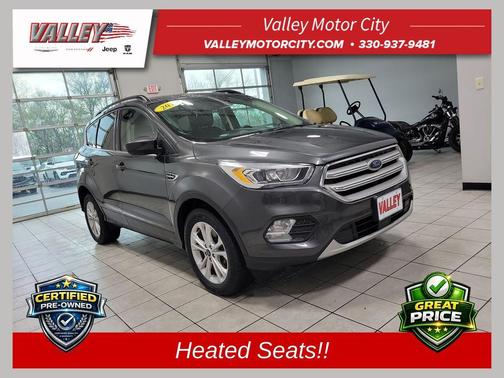 Magnetic 2019 Ford Escape SEL
