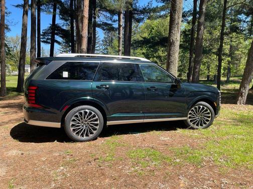 Robust Emerald Pearl 2026 Hyundai PALISADE Calligraphy
