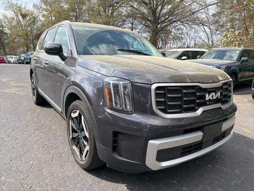 Panthera Metal 2025 Kia Telluride S