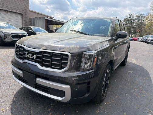 Panthera Metal 2025 Kia Telluride S