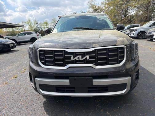 Panthera Metal 2025 Kia Telluride S