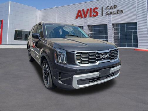 Panthera Metal 2025 Kia Telluride S