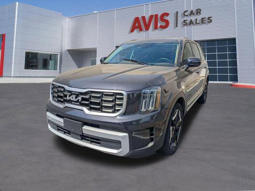 Panthera Metal 2025 Kia Telluride S