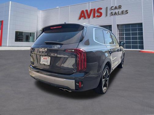 Panthera Metal 2025 Kia Telluride S