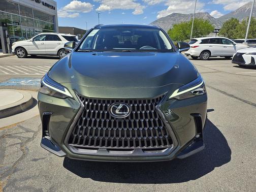 Nori Green Pearl 2026 Lexus NX 350h Luxury