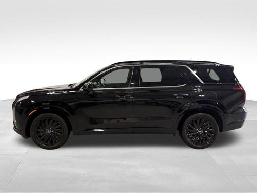 Abyss Black 2024 Hyundai PALISADE Calligraphy Night Edition