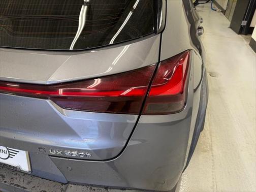2021 Lexus UX 250h F Sport