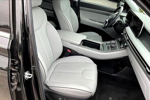 Abyss Black Pearl 2025 Hyundai PALISADE SEL