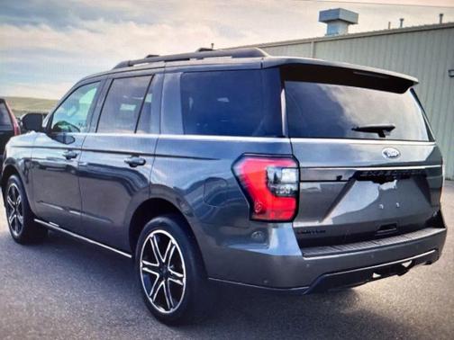 Magnetic 2020 Ford Expedition Limited