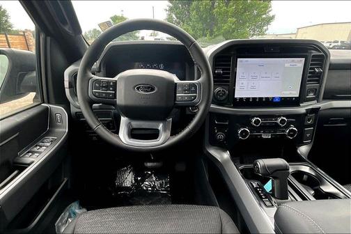 Silver Metallic 2025 Ford F-150 XLT