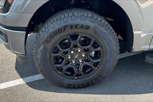 Gray Metallic 2025 Ford F-150 XLT